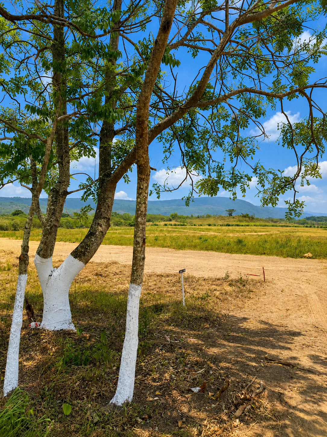 Bella Vista Ocozocoautla