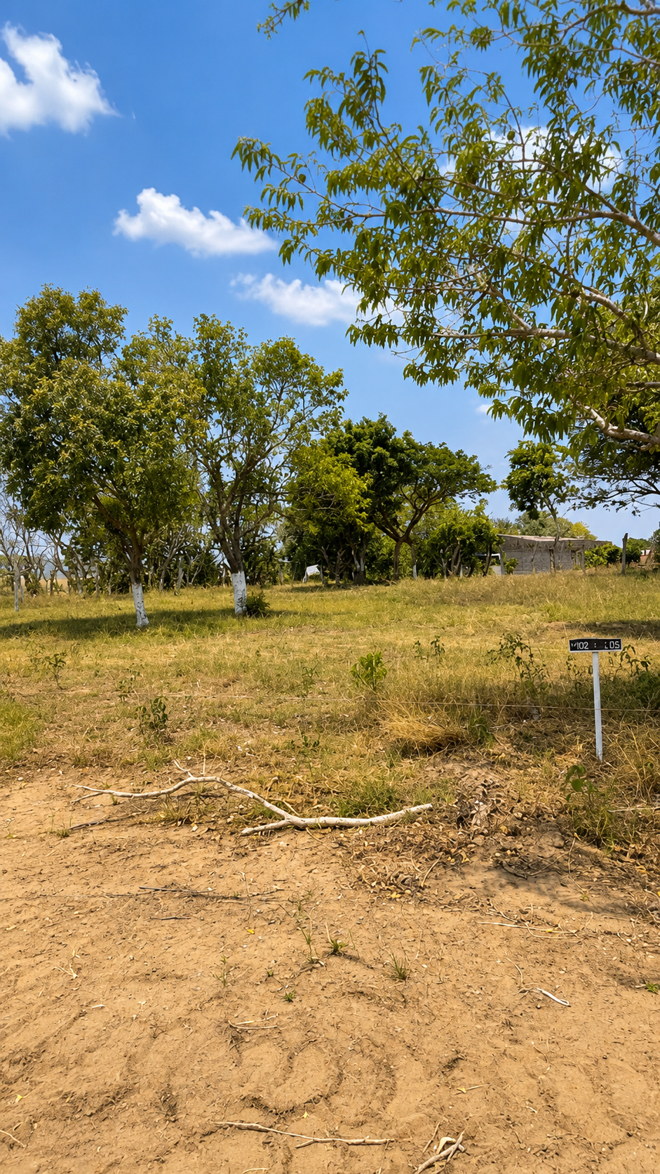 Bella Vista Ocozocoautla