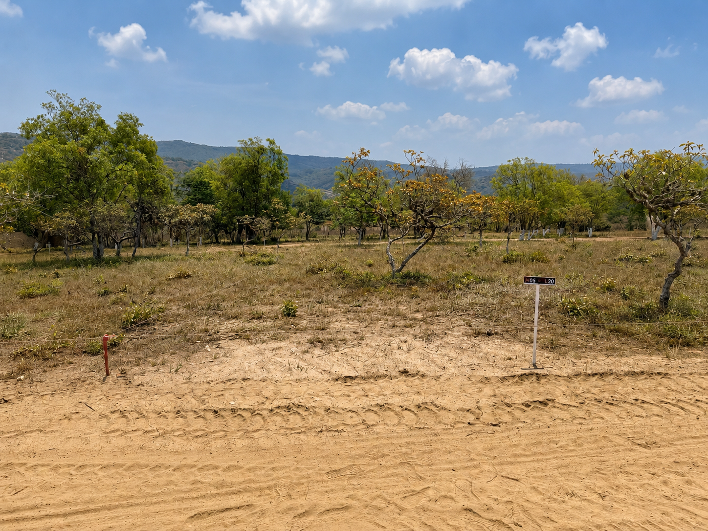 Bella Vista Ocozocoautla