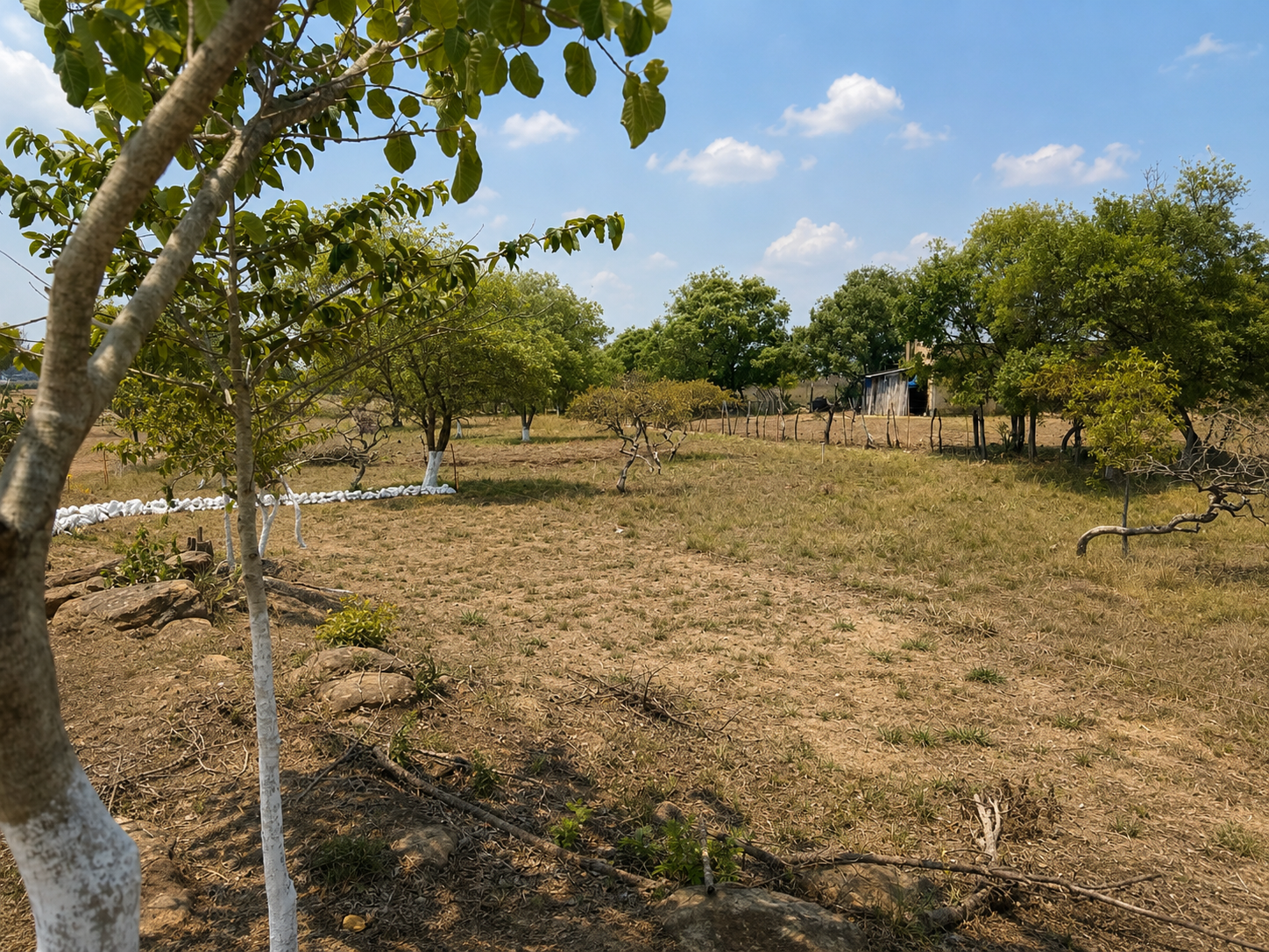 Bella Vista Ocozocoautla